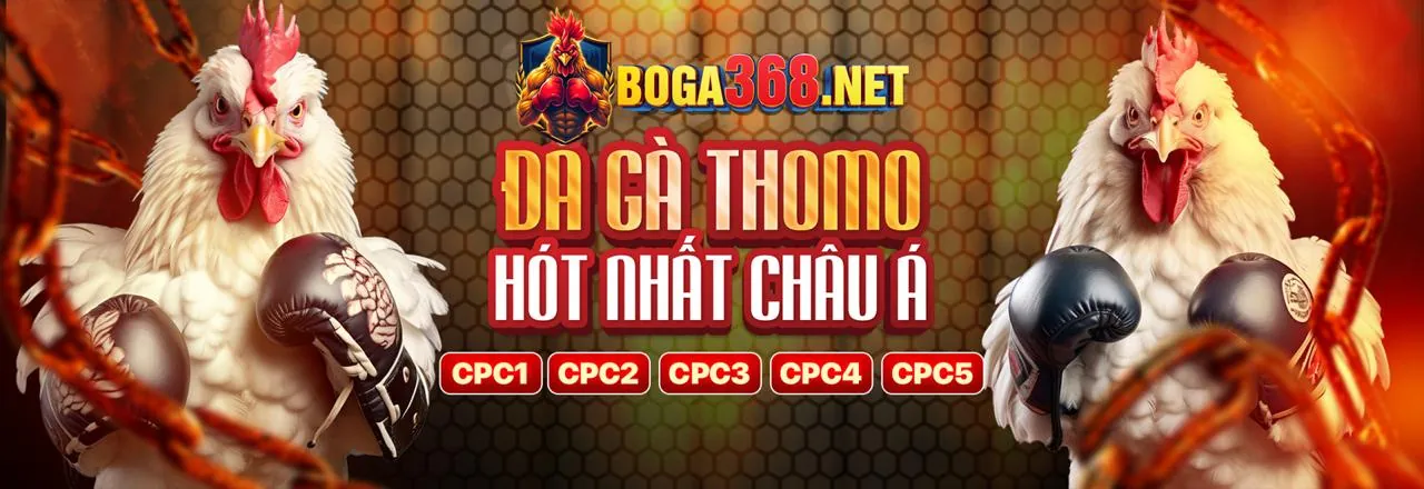 Trận đá gà trực tiếp sôi động tại F8BET